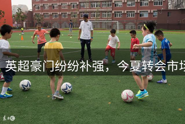 英超豪门纷纷补强，今夏转会市场热闹非凡
